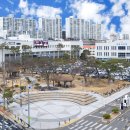 조양곡물 이미지