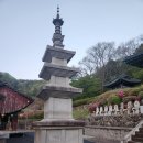 성보사