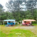 트리앤캠프스토리 이미지