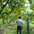 협동농약사 이미지