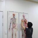 몸연구소휴앤가