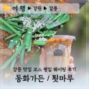 동화지 | 강릉 유명 맛집 코스 평일 웨이팅 후기 :: 동화가든 툇마루