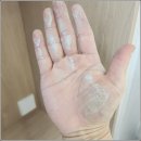 건영3차아파트경로당 | 노원 입주청소, 중계동 건영3차 아파트 리모델링 후 미세 방충망 시공 후기