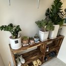 (구)백양교회 이미지