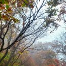 운무속 천황산~ 빗소리 가득 운문사 이미지
