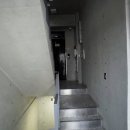 홍대샾