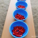 행복농장 3 이미지