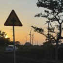 스테이 옹글 제주 이미지