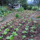 산너머강촌 이미지