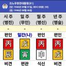병화가 3개- 고 노무현 전대통령님의 명조로 배우는 사주명리 이미지
