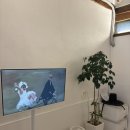 [전남 순천] 고즈넉한 분위기의 독채 한옥숙소 '수하녹' 내돈내산후기 | 순천감성숙소 추천 | 순천만...