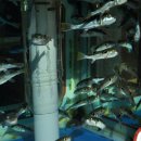 햇살복집 이미지