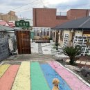 카페바나나 함덕점 <b>함덕</b> 해변 근처 애견동반 1938 <b>함덕</b>차관 디저트와 커피가 맛있는 엔틱 감성<b>카페</b>