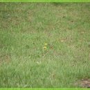 자연과한의원 수원 이미지