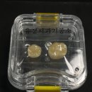 비전치과기공소 이미지