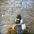 스테이 멍(STAY MUNG) 이미지