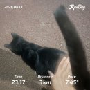어반플랫폼건축사사무소 | [6월 회고] 건축사사무소 상담,교육 / 건축사시험 과외 모고출제