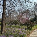 남원꽃식물원 앞 | [난징] 난징 중산식물원南京中山植物园 방문기 - 꽃구경은 여기 무조건 가시오!!