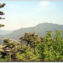변산수산 - 남동구 장도로 86-17 | 변산수산