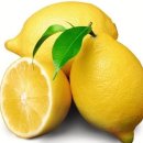 레몬약국 이미지