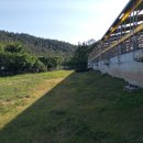 동산흑염소농장 이미지