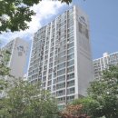 팜스프링 이미지