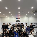 정관 팀매드 이미지