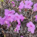 아미산 - 김순영 소프라노 (홍윤표 시,조원경 곡) /시와노래16집 이미지