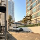 모루 동물의료센터 이미지