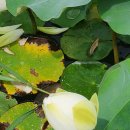 오천그린광장 이미지