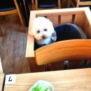 미소숯불닭갈비 이미지