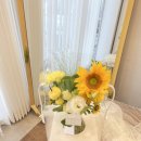 사파동345 이미지