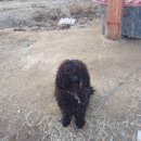 세기농장 이미지