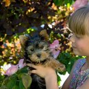 청라루비동물병원 이미지