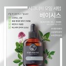 라파테라피 이미지