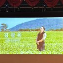 1349 | [자궁선근증] 자궁선근증 수술 후기 1,349일차(수술후 45번째 생리