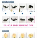 아이클라스 이미지