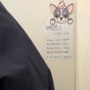 베르데이
