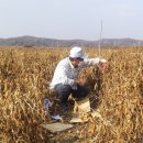 평화농장 이미지