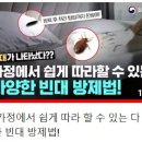 손바닥·파리채로 때려도 안 죽어” 질병청이 알려준 빈대 퇴치법 이미지