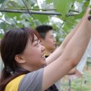 주사랑 농장 이미지