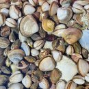 마시안어촌체험·휴양마을 이미지