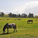 평화축산 이미지