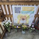 밀독(MILLDOG) 이미지