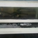 반딧불장터한우  활어회센터 이미지