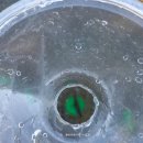 솔밭황토펜션 이미지