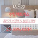 유명수입