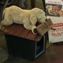 중로1-233,중로1-234 | 늦은 10월 일상 기록 | 먹부림·술집·맛집 후기가 되어버린