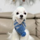 디자인더희