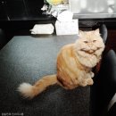 송민호 농장 이미지